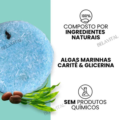 Shampoo Anti Caspa: PurcBlue com Algas Marinhas